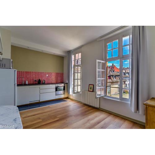 Bel appartement hypercentre de Strasbourg