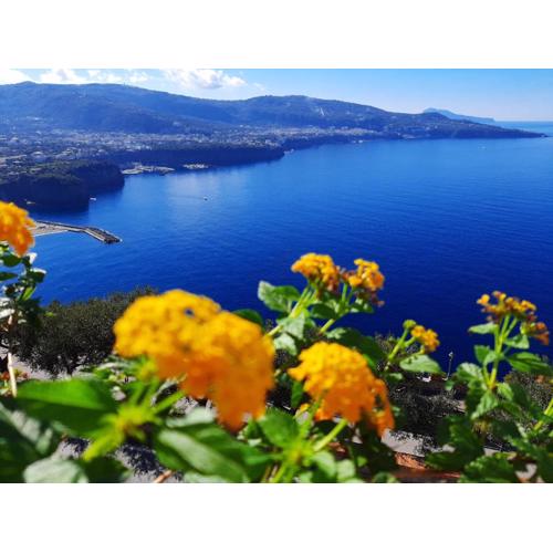 Bella Vista House-Sorrento coast - free parking-solarium