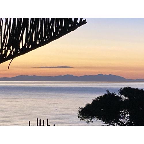 Bellavista