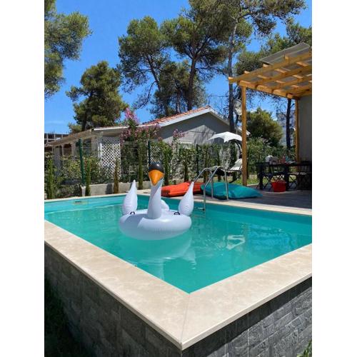Belle villa 3 chambres refaite à neuf avec Piscine privée