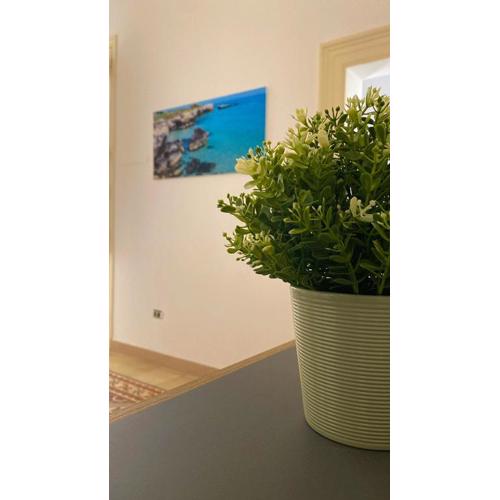 Bermuda apartment