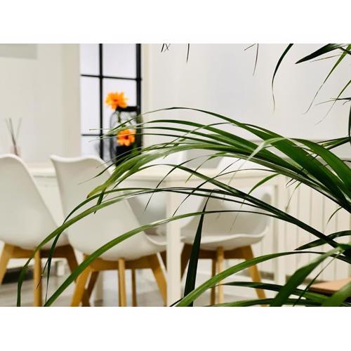 BEST FLAT NEAR REAL MADRID STADIUM