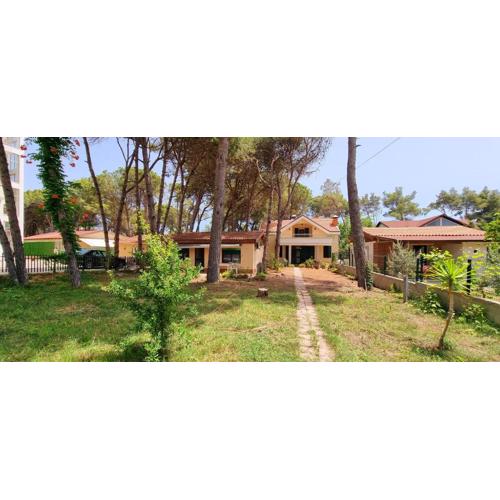bezhani Standard Villa