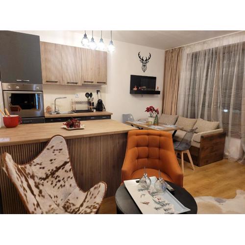 BH and Semiramida Ski Apartment