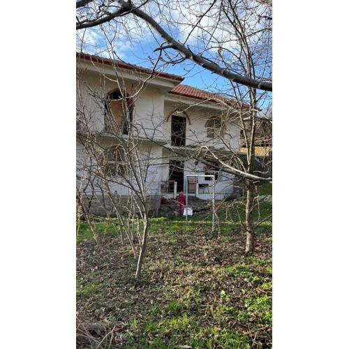Bitro House