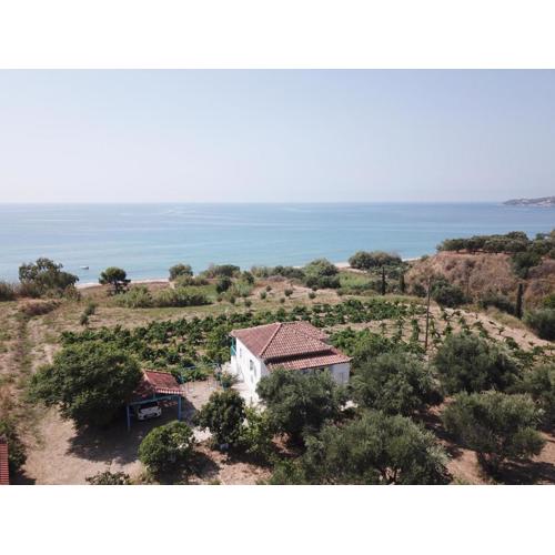 BIZOS Beach