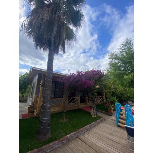 Black Cat Villa\