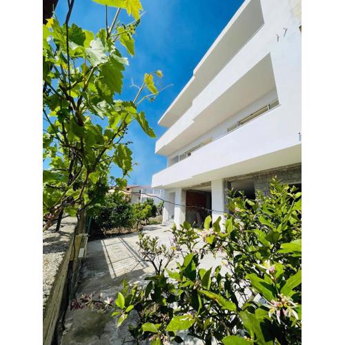 Blendi Guest House
