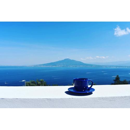 BLUE 51