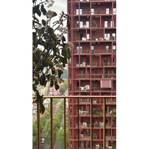 Blue Boutique Apartments 3