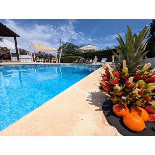Blue Estia Villa - Pool, Wifi, Summer Breeze,