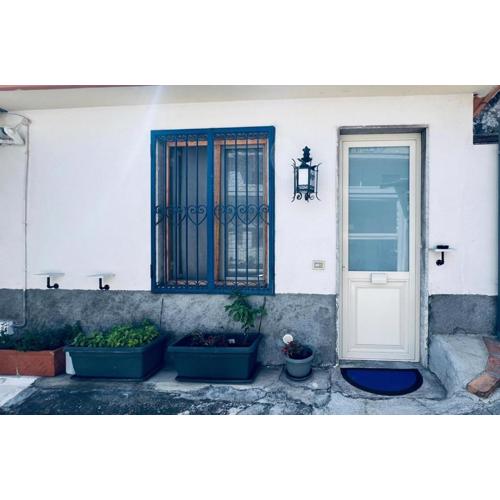 Blue House