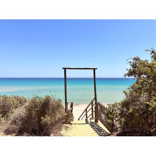 Blue shutters by the beach