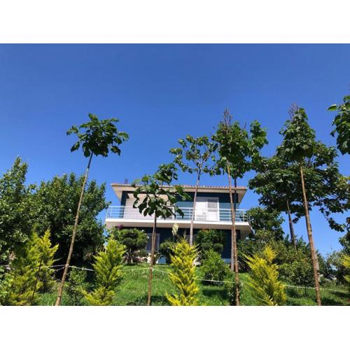 Blue Vila