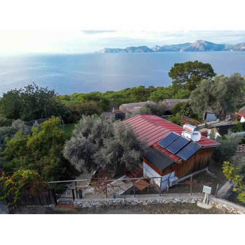 BlueSea Faralya -Mercan