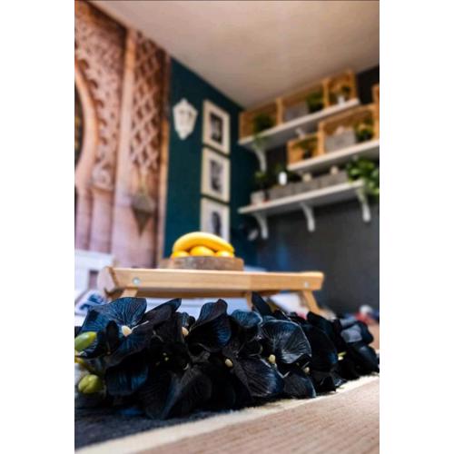 Bohemian Elly room Varna