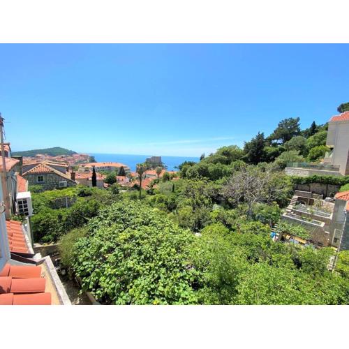 Bonaca apartment and rooms