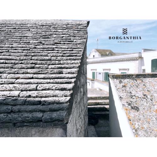 BORGANTHIA