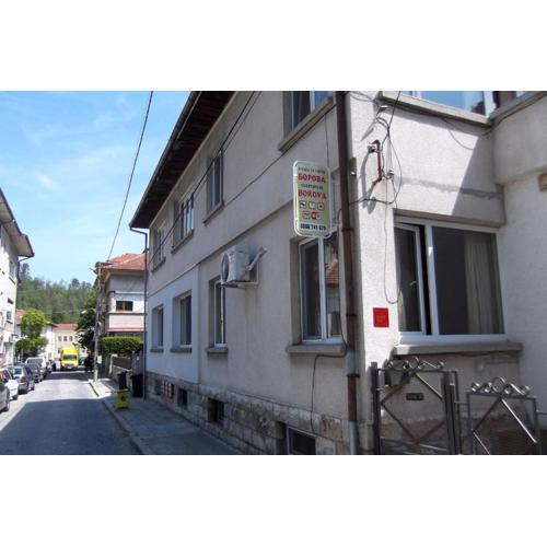 Borova House