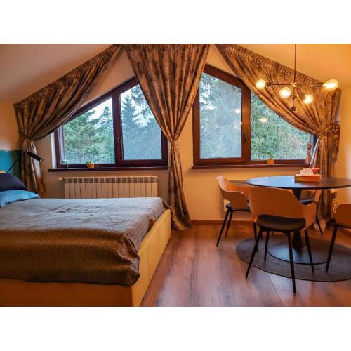 Borovets Forest view (A56)