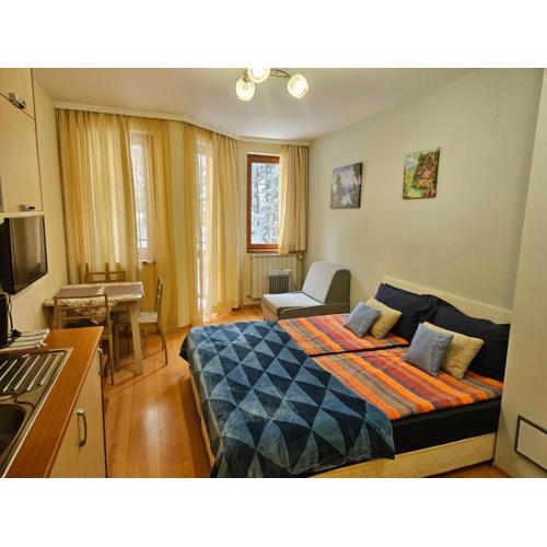 Borovets Villa Park studio