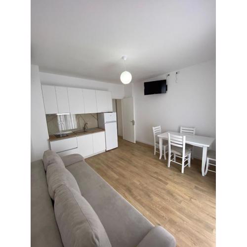 Borsh apartments