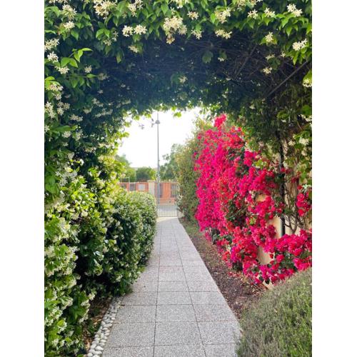 Bougainville