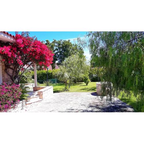 BouganVilla
