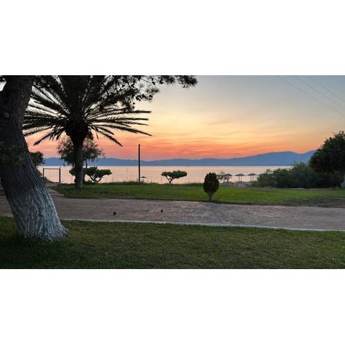 Bouros Seaview Farm
