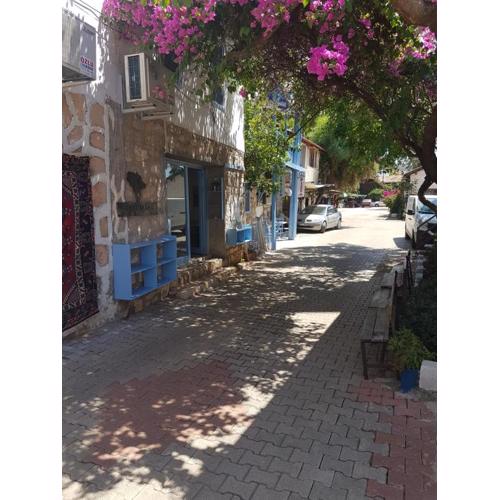 Boynuz Ağacı pansiyon