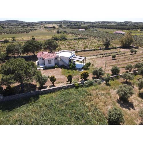 Bozcada Aden Vineyard