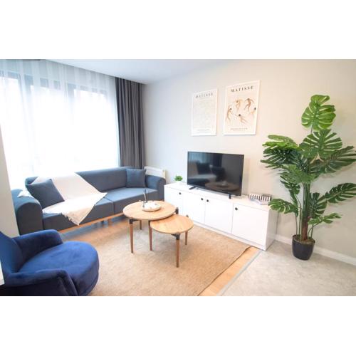 Brand New Apt With Bedroom & Office