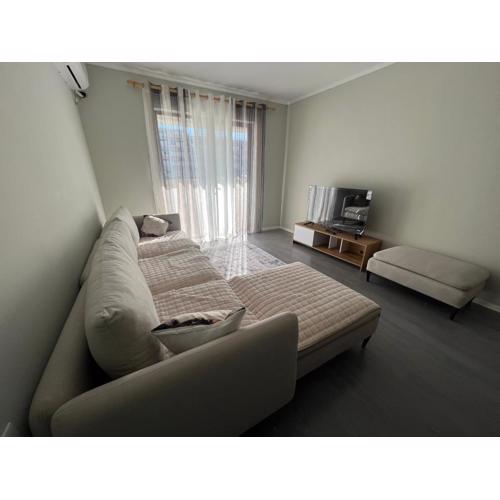 Brand new condo for rent