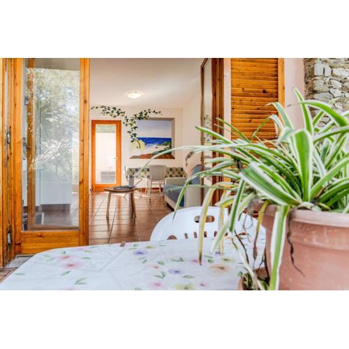 Bright Apt near La Pelosa beach, WiFi & parking!
