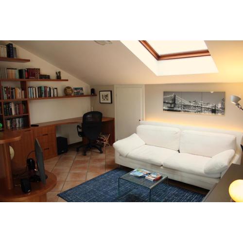Bright penthouse close to center with terrace and lake view