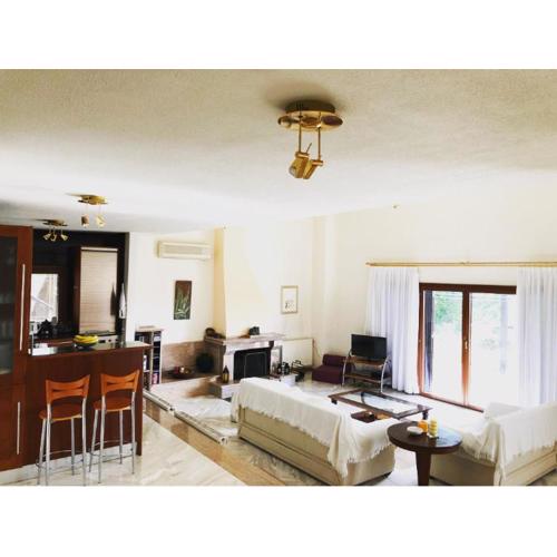 Bright & Spacious Seaview Villa