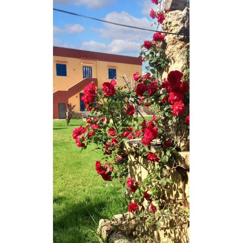 Bright Studio in Gallipoli - 30 sqm + Enclosed Garden