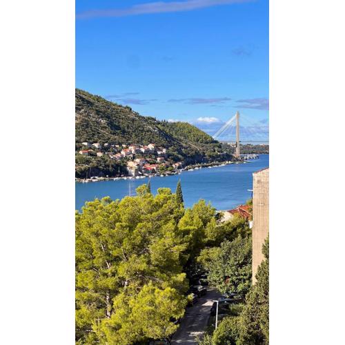 Bright & Sunny two bedroom apartment