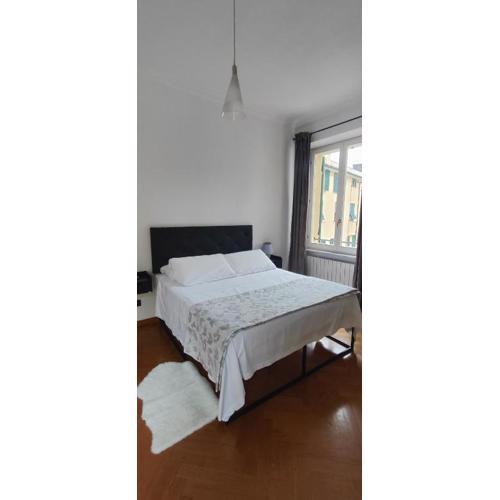 Brignole A