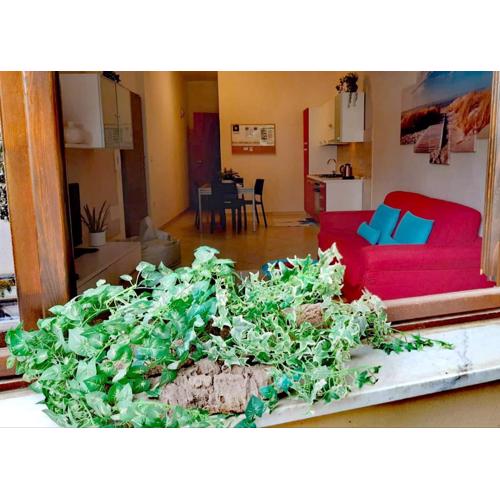 Brisa Marina apartment