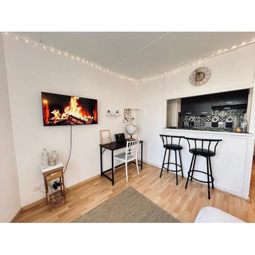Bruyant studio proche centre, terrasse et parking