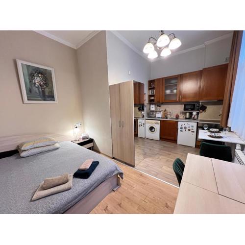 Budapest Central Cozy Studio w Working Space and WiFi