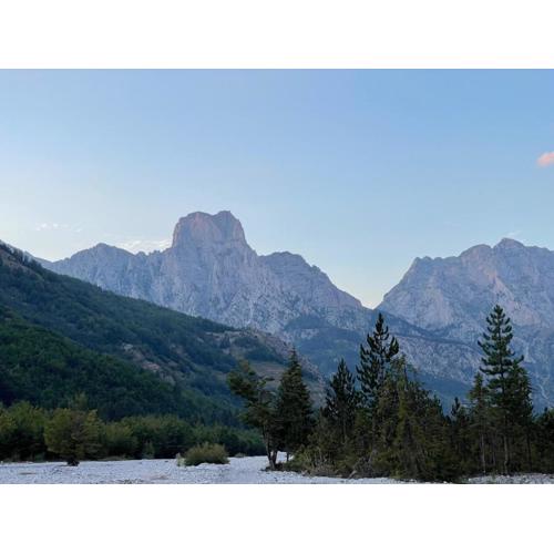 Bujtina Aroma E Malit