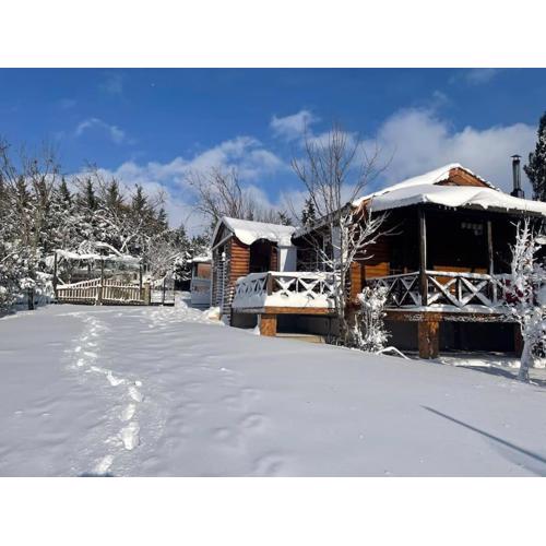 Bungalov Elbasan