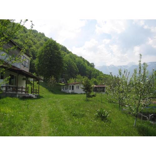 Bungalows Zdravets