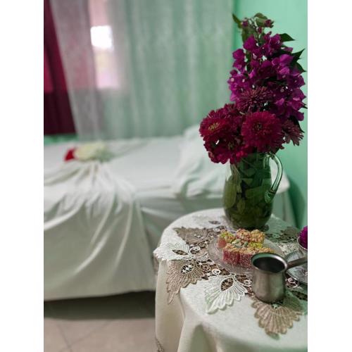 Bushi Rooms