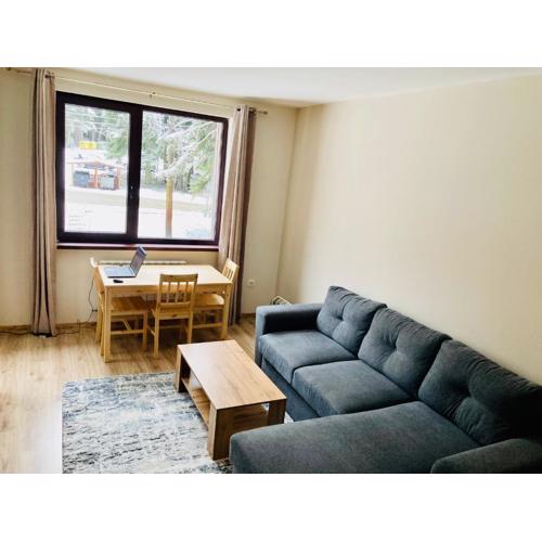 Cactus Apartment