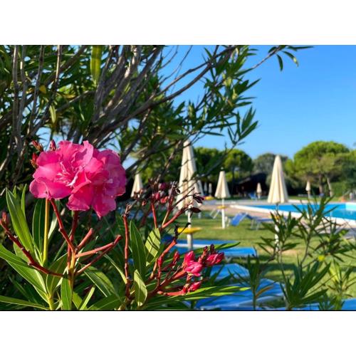 Calilla Home - appartamento Maestrale
