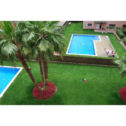 Camelia Apartment
