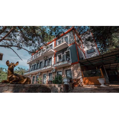 Camlik Deniz Yildizi Hotel